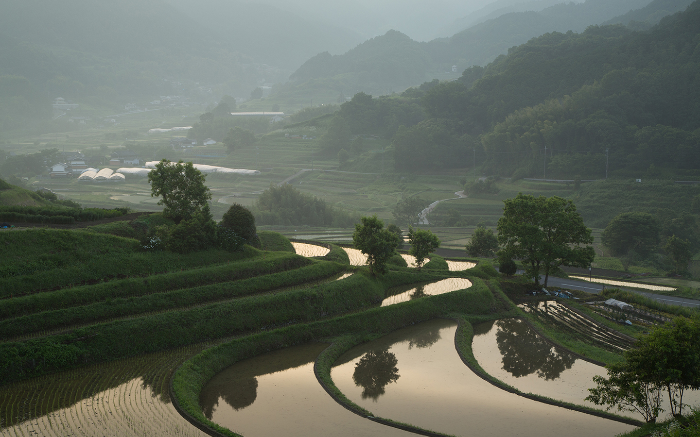 奈良 県 明日香 村